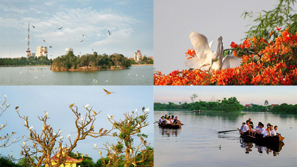 Đảo cò, một địa điểm đáng đến của mùa du lịch 2018, hãy cùng khám phá “hòn đảo” còn đang say ngủ trong bản đồ du lịch Việt Nam.