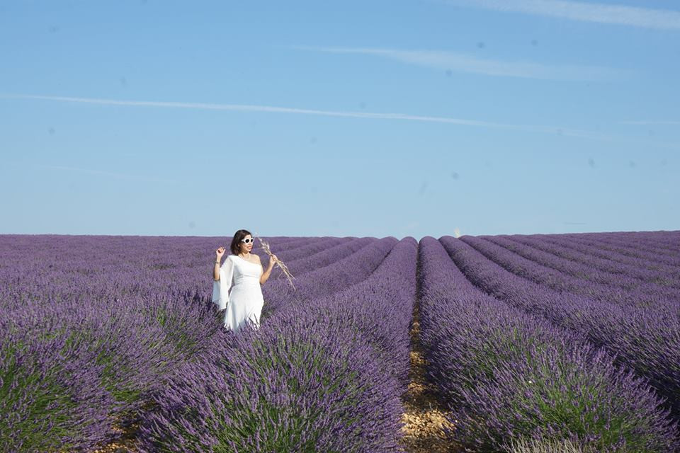 Đứng giữa cánh đồng oải hương ở Pháp tím biếc đang nở rộ bạn có cảm giác như lạc vào chốn thần tiên. 
