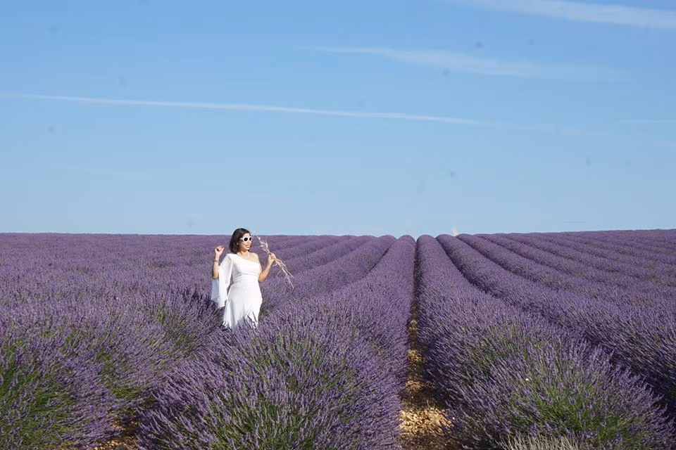 Đứng giữa cánh đồng oải hương ở Pháp tím biếc đang nở rộ bạn có cảm giác như lạc vào chốn thần tiên. 