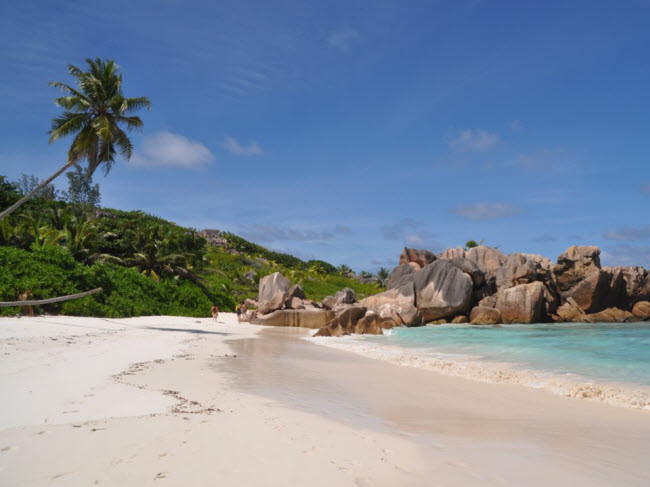 Anse Coco, Seychelles: Bãi biển này không dễ tiếp cận, nhưng đổi lại nó có phong cảnh tuyệt đẹp như các khối đá khổng lồ, rừng cọ xanh tốt và nước biển trong xanh. Anse Coco, Seychelles: Bãi biển này không dễ tiếp cận, nhưng đổi lại nó có phong cảnh tuyệt đẹp như các khối đá khổng lồ, rừng cọ xanh tốt và nước biển trong xanh.