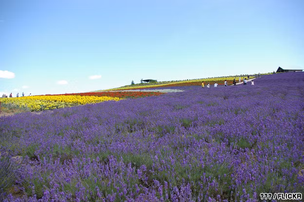 Deo Hai Van lot top nhung con duong an tuong nhat chau A-Hinh-2