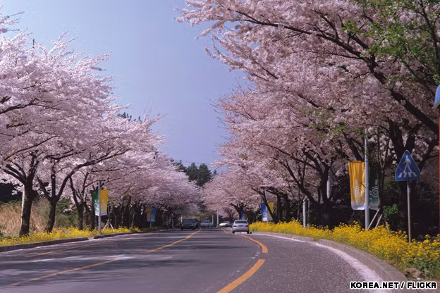 Deo Hai Van lot top nhung con duong an tuong nhat chau A-Hinh-3