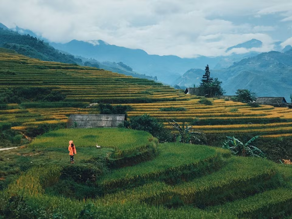  Check in vào ruộng lúa ở homestay: Để cảm nhận được rõ hơn về cuộc sống, bạn có thể ở homestay, những ngôi nhà sàn được dựng nên bằng gỗ ấm cúng, ánh đèn vàng ấm áp và thường có cửa sổ kính lớn hay một ban công nhỏ bên ngoài. Hãy tưởng tượng một buổi sáng thức giấc, hít một hơi là bạn đã có thể cảm nhận được mùi lúa chín.