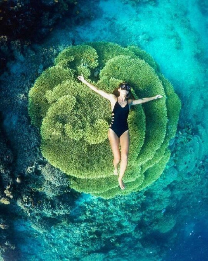  Đảo Bunaken: Đảo Bunaken là nơi lặn biển nổi tiếng nhất Indonesia. Bunaken là một phần của công viên đại dương quốc gia Bunaken hấp dẫn khách đi du lịch bởi những khu vực lặn dưới biển nổi tiếng của đất nước vạn đảo này. Hòn đảo này có đến 20 địa điểm lặn ngắm các loài san hô, những loài rùa biển và các loại cá khác nhau, hòn đảo xinh đẹp này còn có những bãi biển tuyệt đẹp là địa điểm lý tưởng dành cho những người yêu nắng vàng, thích biển xanh và cát trắng.