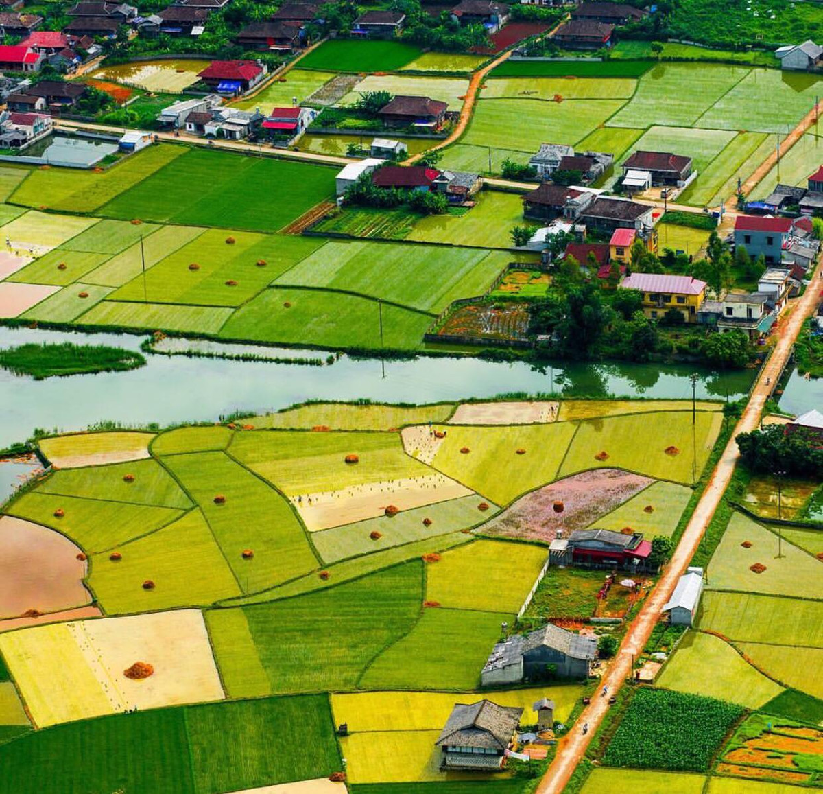 Tháng 7, khi những cánh đồng lúa ở thung lũng Bắc Sơn, dần chuyển màu cũng là thời điểm những người đam mê xê dịch và nhiếp ảnh gia tìm về, ghi lại khoảnh khắc đẹp trong năm.