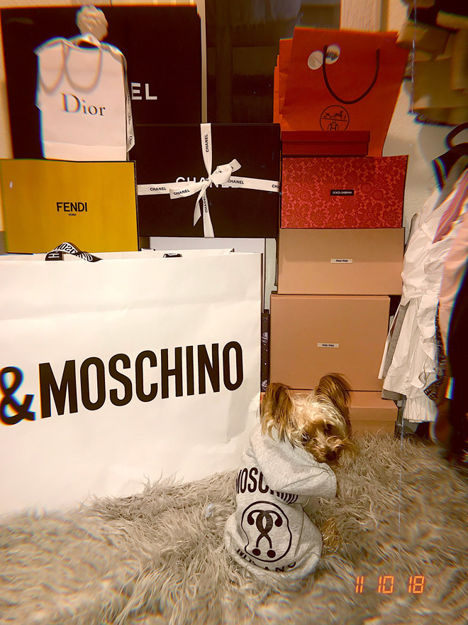 Cẩm Tú rất yêu thích những bộ đồ, phụ kiện tới từ thương hiệu thời trang danh tiếng như Moschino, Gucci, Dior... Hiện cô sở hữu gần 3.700 lượt theo dõi trên Instagram.