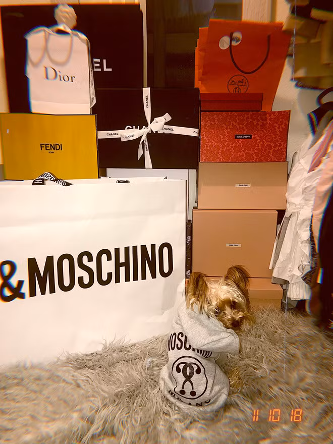 Cẩm Tú rất yêu thích những bộ đồ, phụ kiện tới từ thương hiệu thời trang danh tiếng như Moschino, Gucci, Dior... Hiện cô sở hữu gần 3.700 lượt theo dõi trên Instagram.