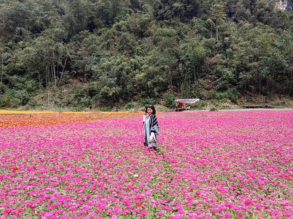 Ngo lac chon thien duong o thung lung hoa dep ngat ngay o Lang Son