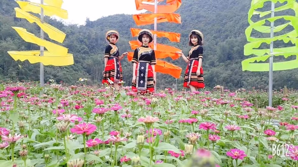 Nhiều cô gái còn đầu tư thuê trang phục dân tộc để thêm nổi bật giữa vườn hoa.