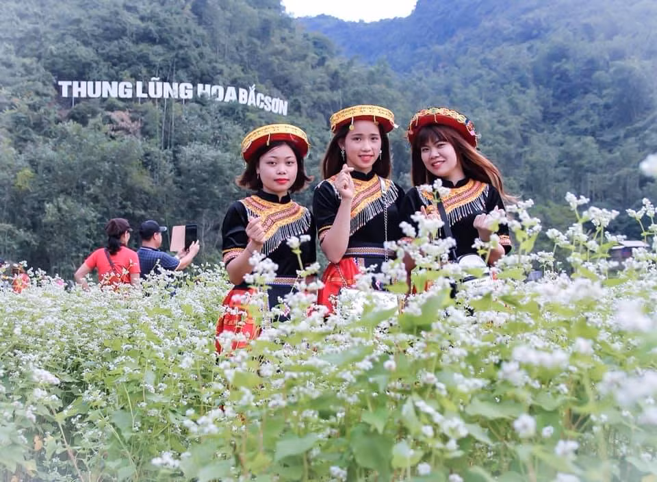 Điểm thu hút nhất ở nơi này chính là không gian thoáng rộng với vô vàn loài hoa như hoa bướm, cúc cam, hoa cải, tam giác mạch trắng.… đua nhau bung nở, trải dài ngút tầm mắt. Du khách đến đây có thể mơ màng say trong hương thơm quyến rũ cùng vẻ đẹp xuân sắc của muôn loài hoa rực rỡ.