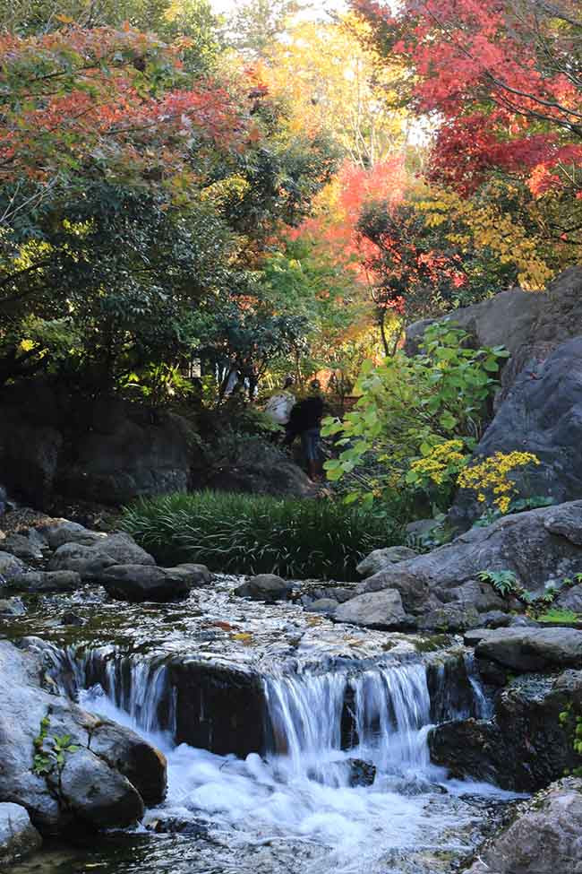 Nếu bạn đi bộ về phía tây nam của khu vườn, bạn có thể tìm thấy nhiều nơi tuyệt đẹp với thác nước nhỏ và cây phong đầy màu sắc. Khu vực này được thiết kế để đại diện cho Mt. Ontake, và dòng suối đại diện cho sông Kiso.