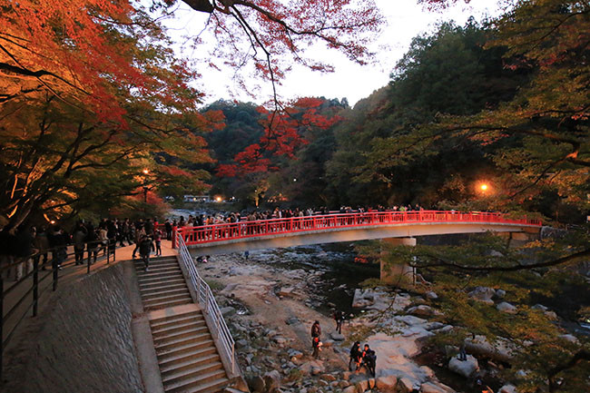 Korankei nằm ở Toyota, tỉnh Aichi, một trong những nơi phổ biến nhất vào mùa thu, mùa thay lá. Korankei là một thung lũng chạy quanh Núi Iimori, và bạn có thể tìm thấy hơn 4.000 cây phong dọc theo Korankei.