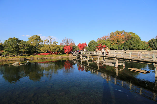 Có rất nhiều cá chép đầy màu sắc chơi trong ao và chờ đợi để được cho ăn. Du khách có thể nghỉ ngơi khi ngồi trên bờ và tận hưởng cảnh quan của khu vườn xinh đẹp.