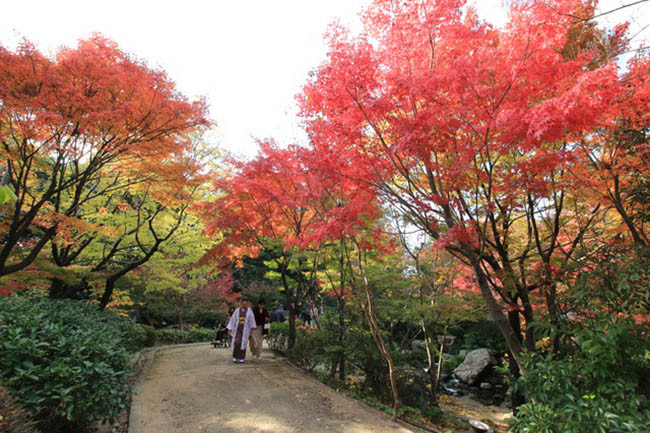 Shirotori Garden là một khu vườn kiểu Nhật Bản nằm gần Đền Atsuta ở Nagoya. Ở trung tâm của công viên, có một phòng trà đạo, được thiết kế dựa trên một hình ảnh shirotori (thiên nga) bay xuống để nghỉ ngơi.