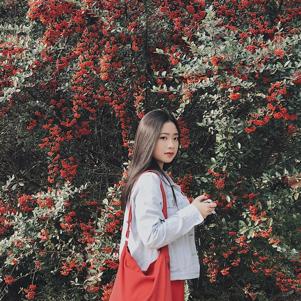 Cô có một sự hiểu biết sâu về các đội bóng từ chế độ tập luyện, sinh hoạt và khả năng tác chiến trên sân của các cầu thủ. Đặc biệt, trong thời gian nghỉ giữa giờ và khi trận đấu kết thúc, Quỳnh Hương còn đưa ra nhiều nhận định rất chính xác.