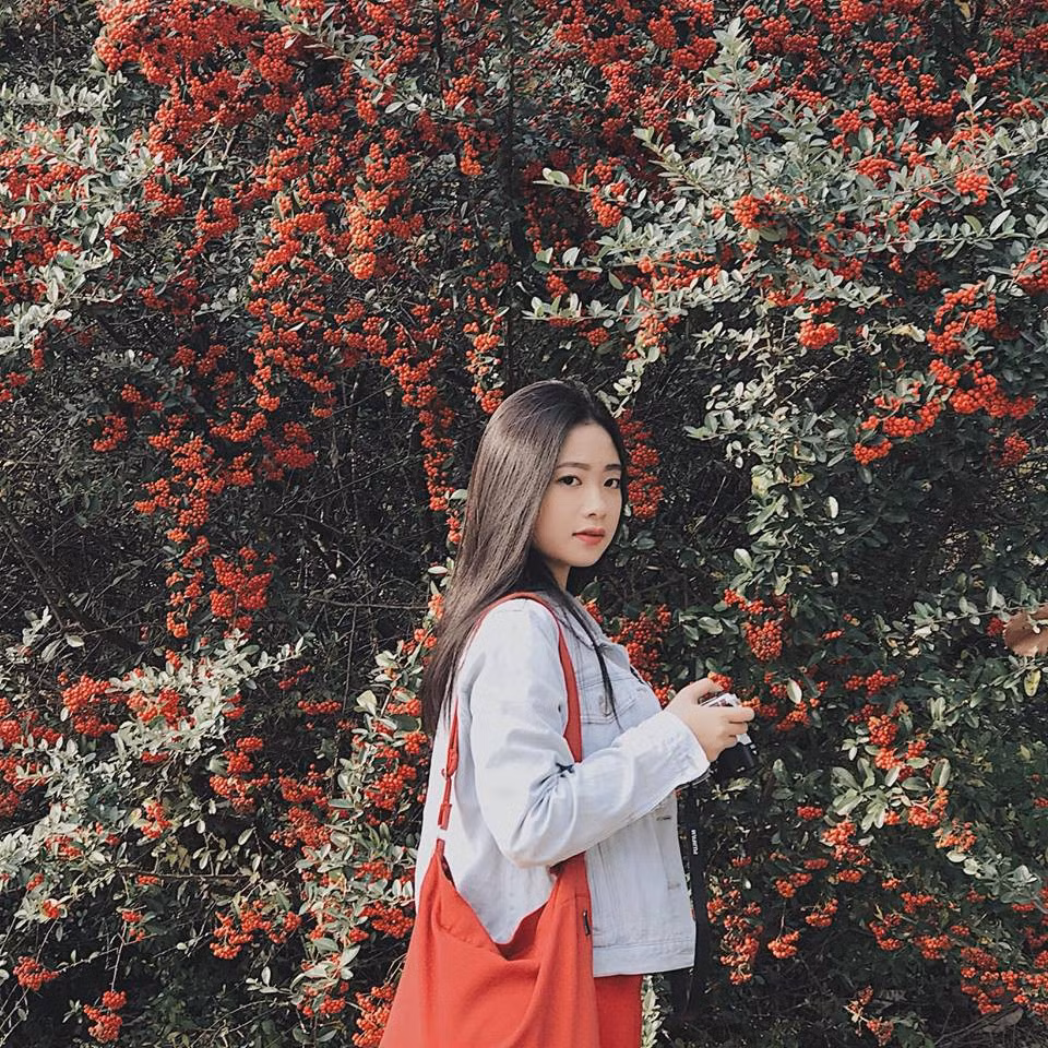 Cô có một sự hiểu biết sâu về các đội bóng từ chế độ tập luyện, sinh hoạt và khả năng tác chiến trên sân của các cầu thủ. Đặc biệt, trong thời gian nghỉ giữa giờ và khi trận đấu kết thúc, Quỳnh Hương còn đưa ra nhiều nhận định rất chính xác.