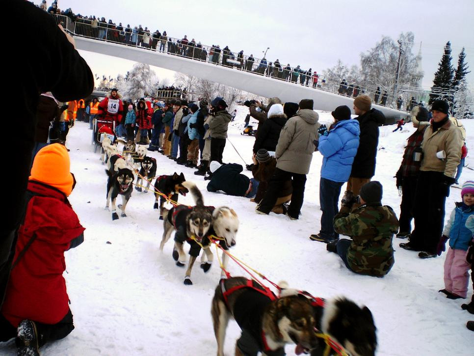 Yukon Quest Vào tháng 2, hãy đến Alaska để cổ vũ những người nghiện rượu và các đội chó trượt tuyết, khi họ thực hiện chuyến đi dài từ 10 đến 16 ngày, từ Fairbanks, Alaska đến Whitehorse, Yukon ở Canada. Nhà vô địch thắng cuộc sẽ đoạt giải 35,000 USD.