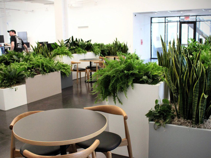 Ngoài ra, hầu như góc nào của văn phòng cũng có cây xanh