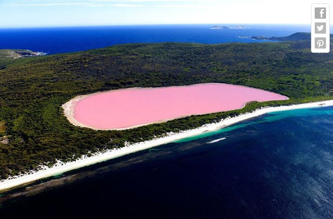 Khung cảnh vi diệu ở Hồ Hillier, Úc