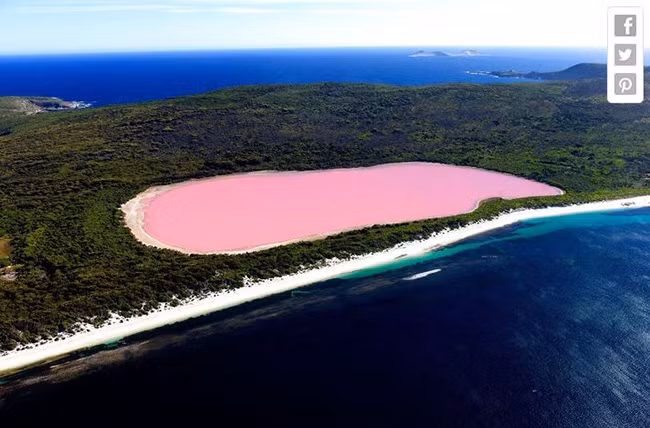 Khung cảnh vi diệu ở Hồ Hillier, Úc