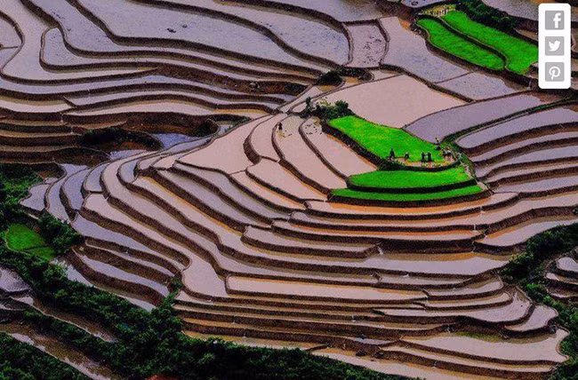 Huyện Mù Cang Chải, Việt Nam