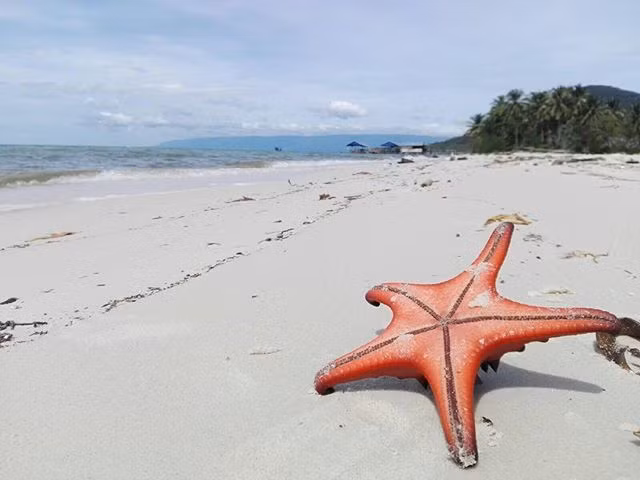 Sau khi đắm mình trong biển xanh, bạn cũng có thể nằm dài trên cát mịn, để thư giãn, để cảm nhận hơi thở, hương vị và âm thanh của biển