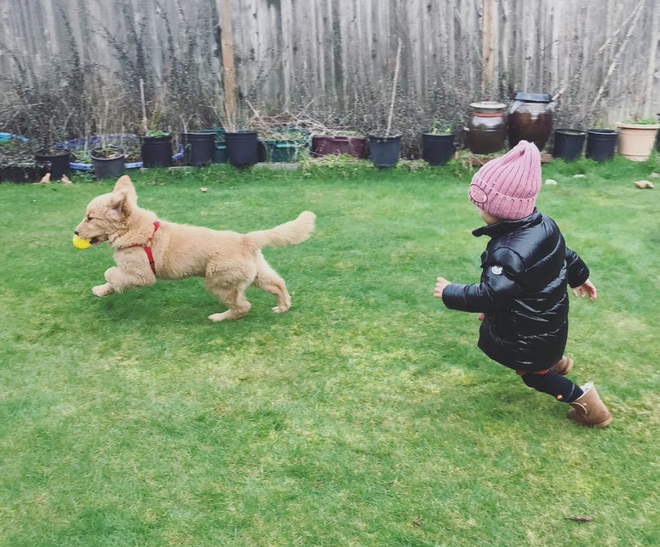 Tình bạn đẹp như mơ, đôi lúc giận hờn vu vơ của nhóc tì Hàn Quốc với chú chó cưng "đốn tim" dân mạng.