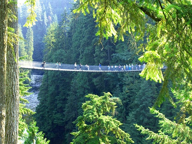  4.Cầu treo Capilano, Canada: Chiếc cầu treo này bắc qua một con sông, băng qua những ngọn cây, mang lại cho du khách cảm giác đi bộ trên không trung giữa những khu rừng. Cảm giác này thậm chí còn mạnh mẽ hơn khi vào mùa Giáng Sinh, cây cối phủ tuyết trắng khắp nơi.