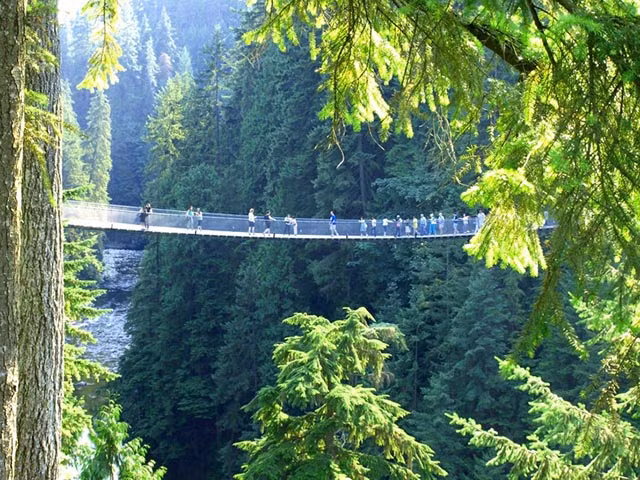  4.Cầu treo Capilano, Canada: Chiếc cầu treo này bắc qua một con sông, băng qua những ngọn cây, mang lại cho du khách cảm giác đi bộ trên không trung giữa những khu rừng. Cảm giác này thậm chí còn mạnh mẽ hơn khi vào mùa Giáng Sinh, cây cối phủ tuyết trắng khắp nơi.