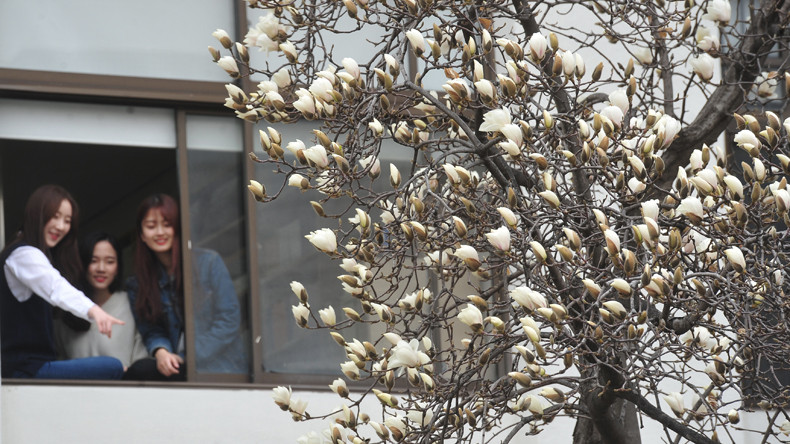 Huyền Thu bị thu hút bởi vẻ đẹp của hoa mộc lan ngay từ cái nhìn đầu tiên khi đến đây. Ảnh:brunch.