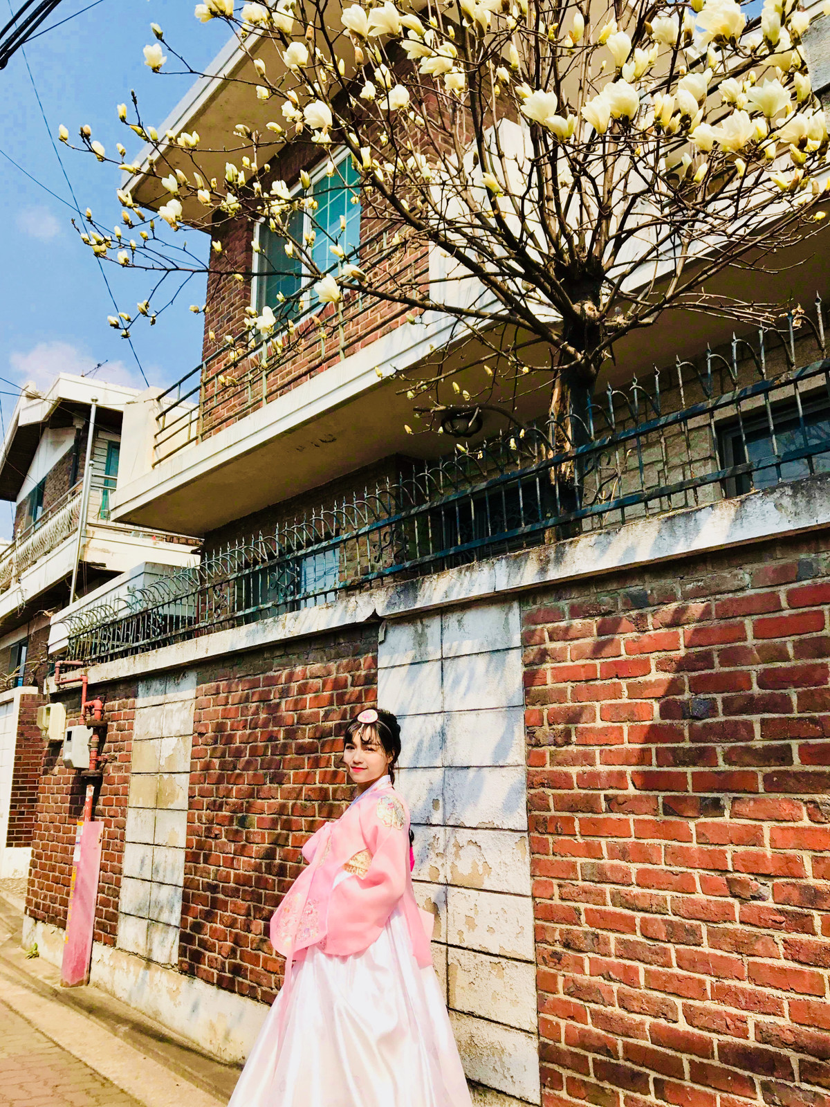 Nữ MC xinh đẹp rạng ngời dưới tán cây Mộc Lan trong trang phục truyền thống Hanbok của xứ Kim Chi. Ảnh: Đồng Thu.