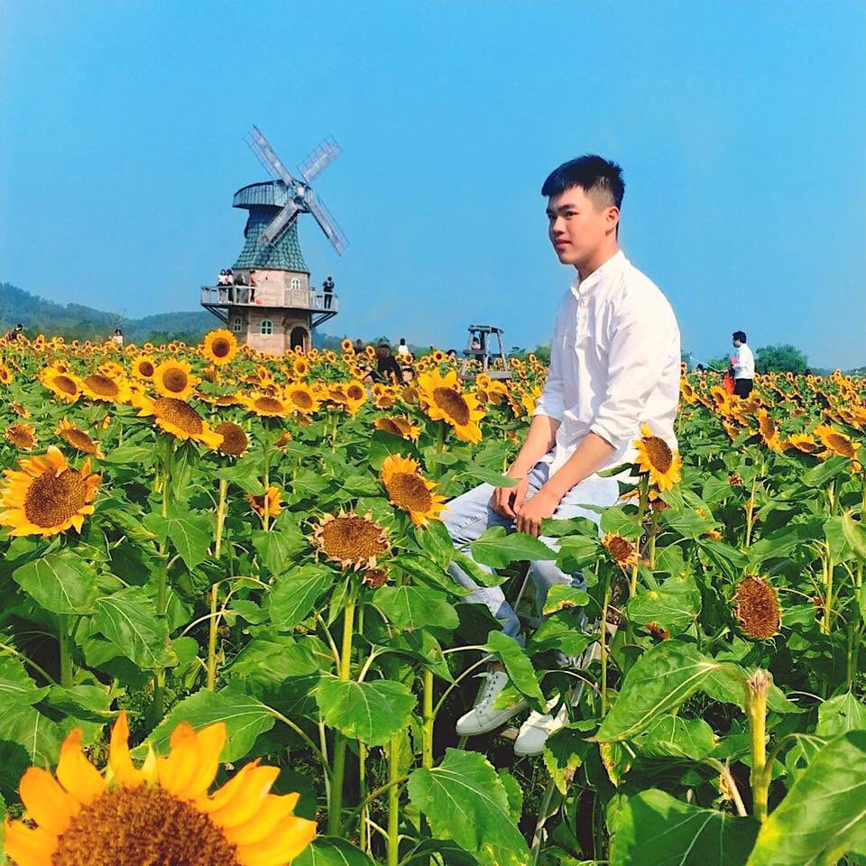 Cánh đồng hoa hướng dương khiến giới trẻ ngây ngất ở Bắc Giang - Hình 6 Canh dong hoa huong duong khien gioi tre ngay ngat o Bac Giang-Hinh-6