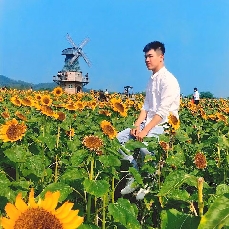 Canh dong hoa huong duong khien gioi tre ngay ngat o Bac Giang-Hinh-6