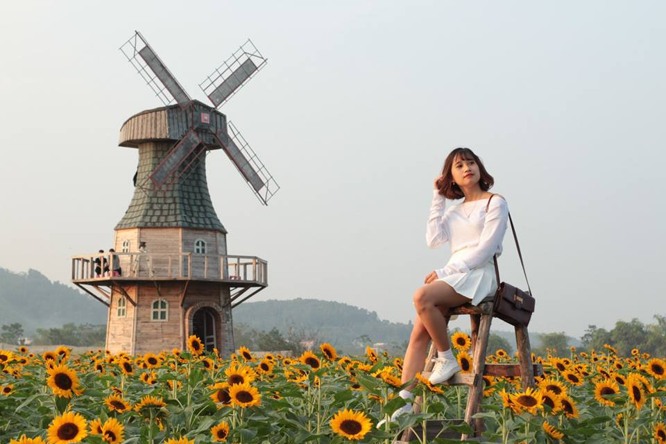 Cánh đồng hoa hướng dương khiến giới trẻ ngây ngất ở Bắc Giang - Hình 5 Canh dong hoa huong duong khien gioi tre ngay ngat o Bac Giang-Hinh-5