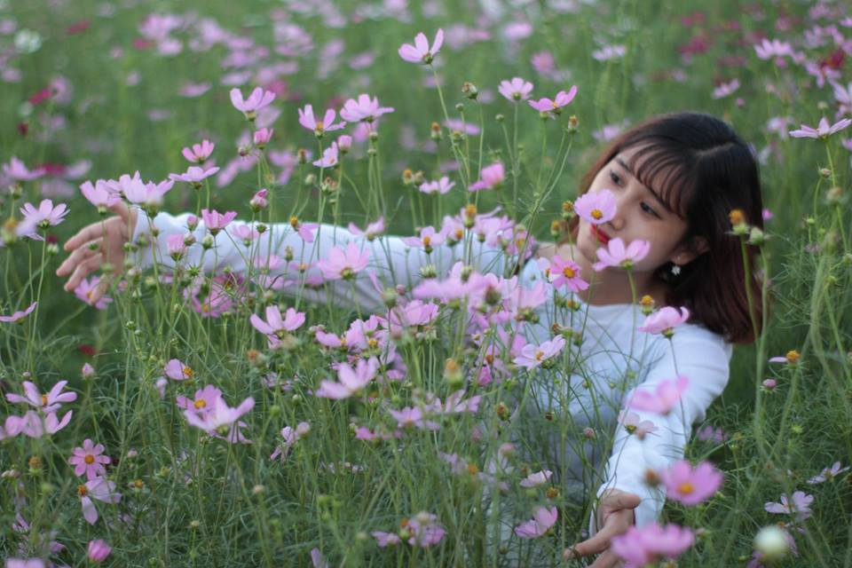 Cánh đồng hoa hướng dương khiến giới trẻ ngây ngất ở Bắc Giang - Hình 8 Canh dong hoa huong duong khien gioi tre ngay ngat o Bac Giang-Hinh-8