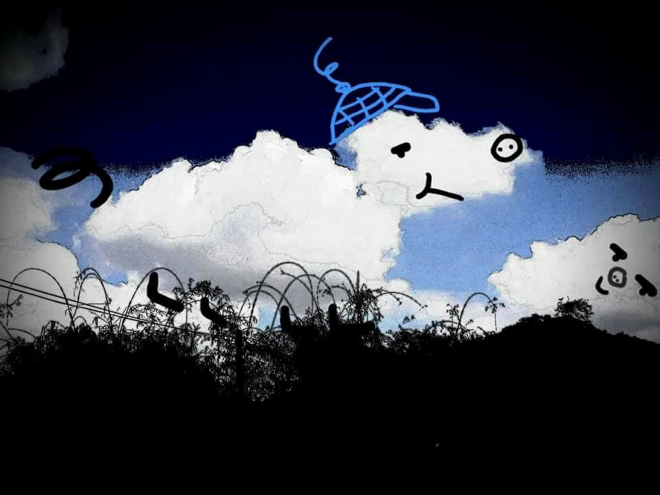 Du hoc sinh 9X sang tao bo anh de thuong tu dam may-Hinh-3