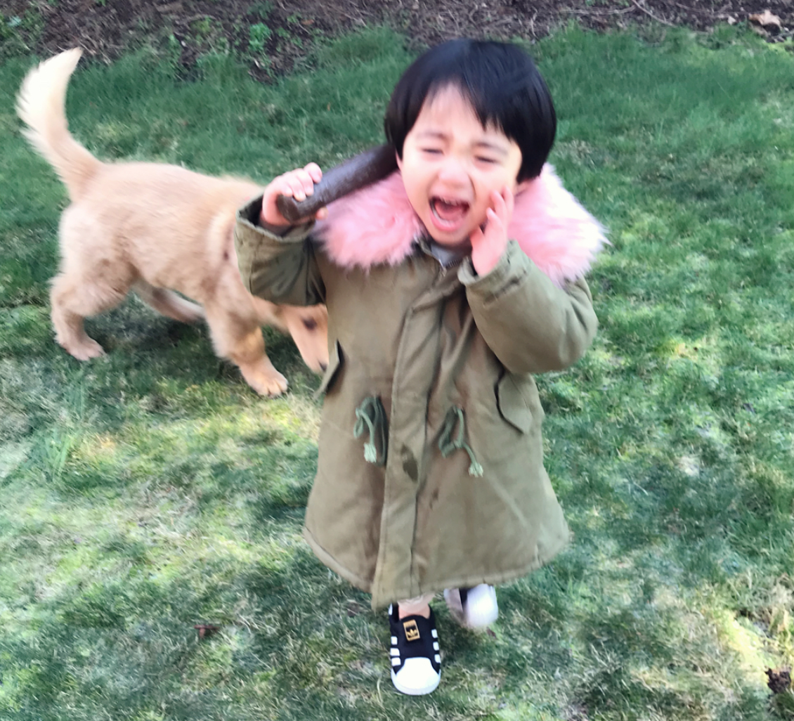 Aithan từng oà khóc khi bị Molly cào xước mặt.