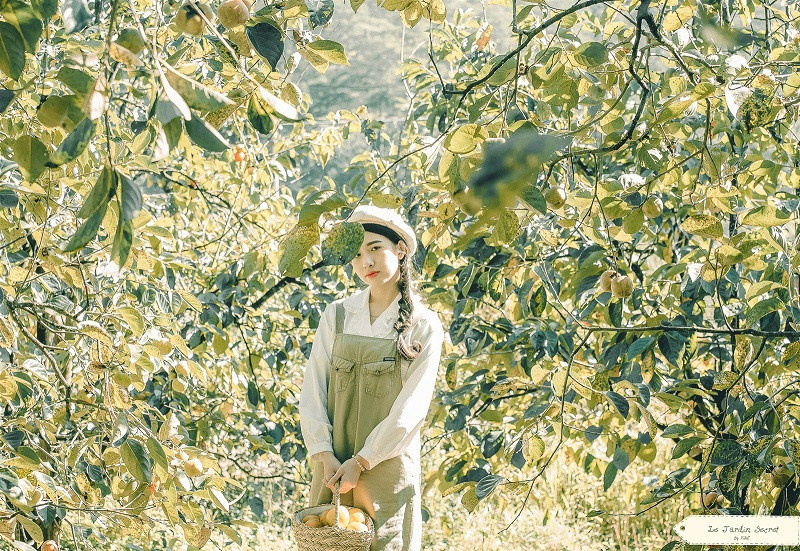 Nếu đã trót đem lòng yêu Đà Lạt, bạn sẽ không thể ngồi yên khi mảnh đất này bước vào mùa hồng đỏ rực. Đừng lỡ hẹn với Đà Lạt nhé, xách balo lên và đi ngay thôi!