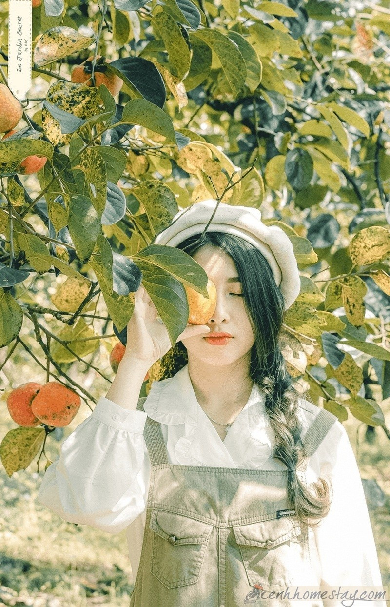 Chẳng sai khi nói Đà Lạt là thành phố của mộng mơ, của lãng mạn, những điều bình dị cũng thành nên thơ.