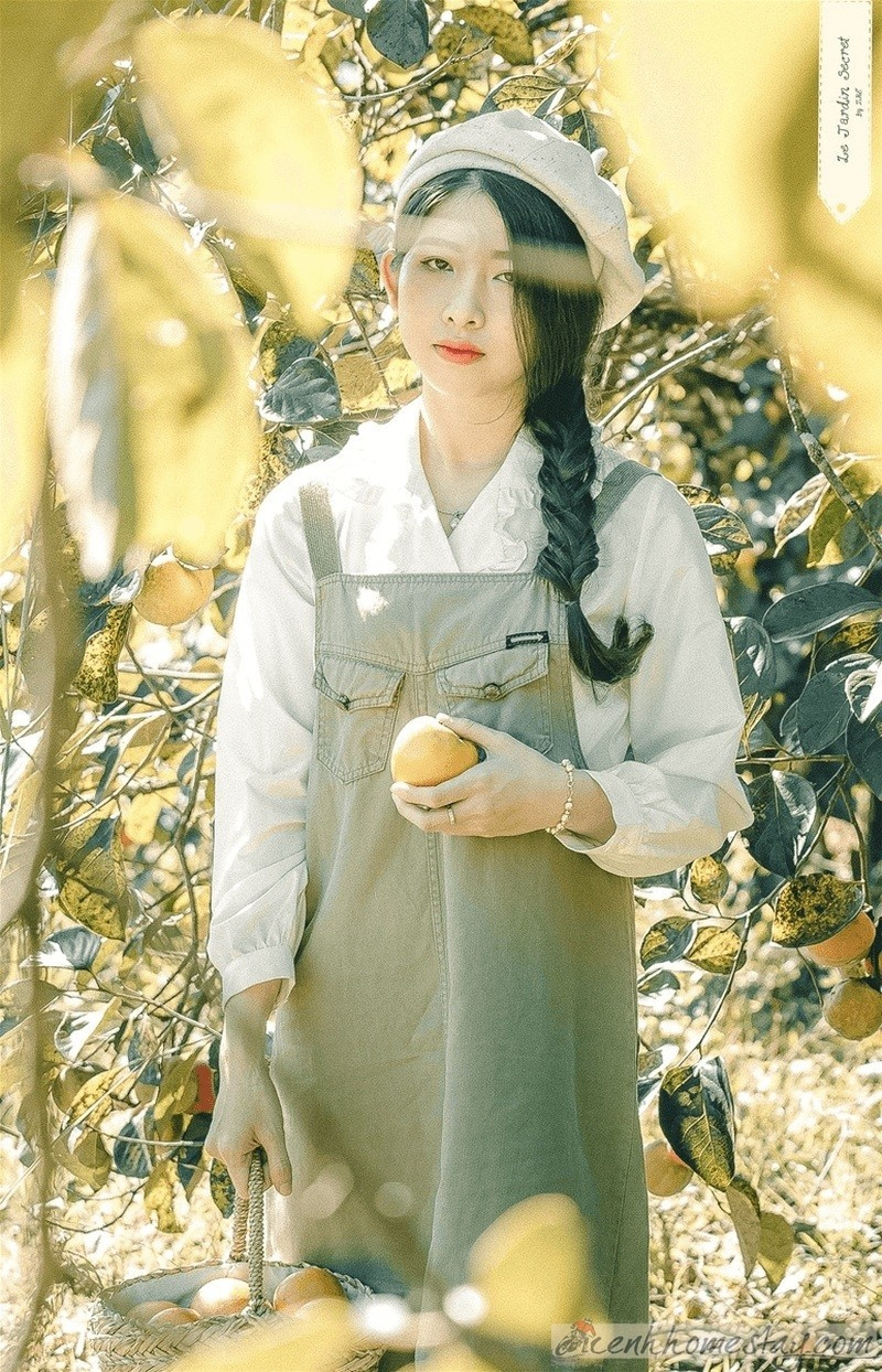 Ánh nắng xuyên qua những tán lá cây, những qủa hồng màu cam, bạn cứ ngỡ như mình đang đi lạc vào một bức tranh thơ mộng giữa trời Âu.