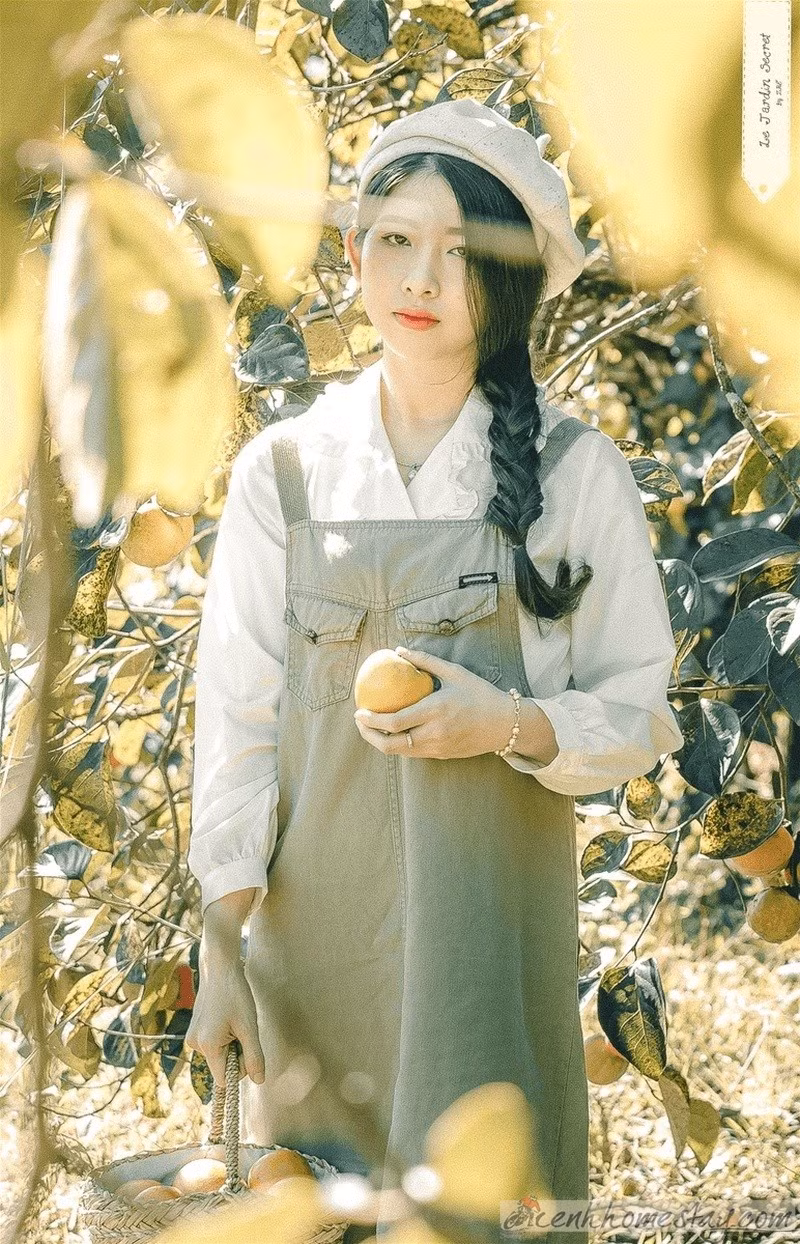 Ánh nắng xuyên qua những tán lá cây, những qủa hồng màu cam, bạn cứ ngỡ như mình đang đi lạc vào một bức tranh thơ mộng giữa trời Âu.