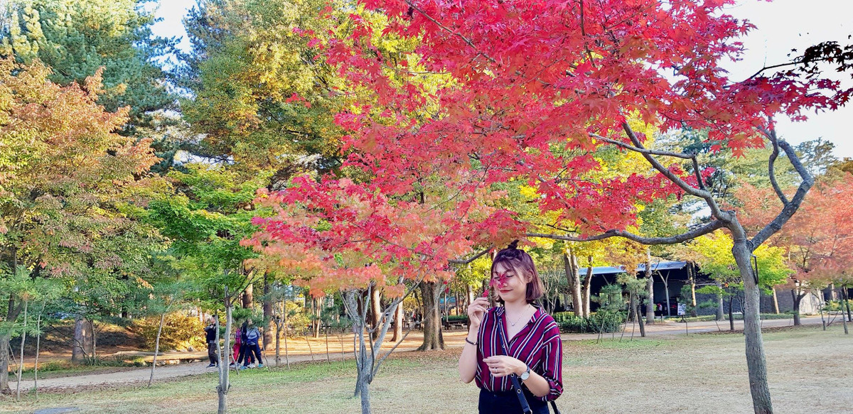 Đất trời Hàn Quốc khi sang thu sẽ thực sự khiến bạn choáng ngợp với những con đường phủ đầy lá vàng, những hồ nước trong veo hay những ngọn núi ngập tràn sắc đỏ.