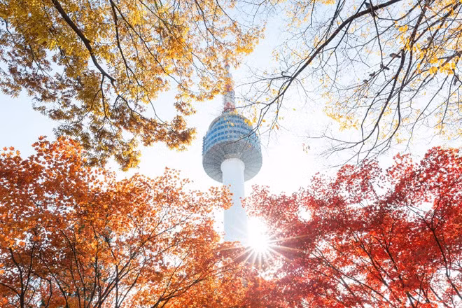 Trải nghiệm ngắm nhìn lá thu ở Hàn Quốc, các vườn quốc gia như Seoraksan, Gyeongju hay Naejangsan, công viên Namsan là những địa điểm nổi tiếng để tận hưởng những tán lá mùa thu đầy mê hoặc.