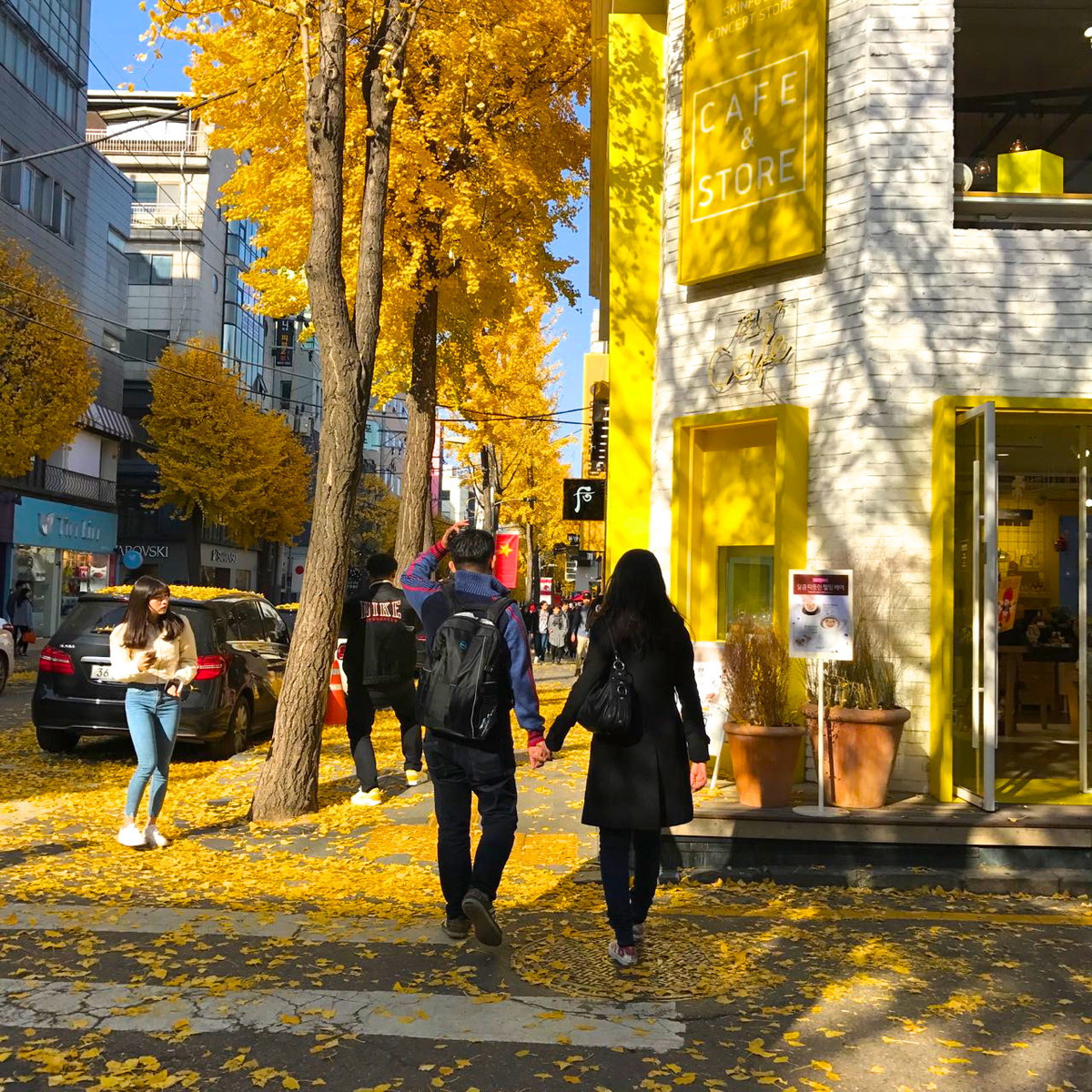 Tản bộ trên đường Garosu-gil: Con đường rợp bóng cây rẻ quạt đầy thơ mộng này nối từ ga Sinsa của tuyến tàu điện ngầm số 3 đến trường trung học Hyeondae. Nắm tay nhau, khi lá vàng bắt đầu rơi là trải nghiệm vô cùng đáng nhớ.