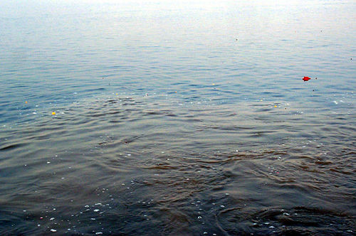 Saraswati là một con sông cổ xưa chảy ở miền bắc Ấn Độ trong thời kỳ phục hưng. Hiện sông bị coi là biến mất trong sa mạc nhưng tại vùng Triveni Sangam ở Allahabad là nơi hợp lưu của 3 con sông, sông Hằng, Yamuna và Saraswati, trong số ba sông này, sông Saraswati huyền thoại vô hình này được cho là chảy ngầm và nối hai con sông khác từ bên dưới.