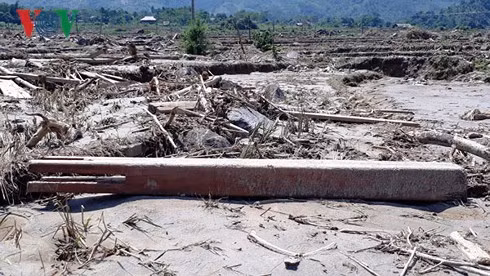 Những ngôi nhà sàn truyền thống của đồng bào vững chãi, khang trang một thời tại Bản Lùng giờ chỉ có thể nhận ra qua cái cột còn sót lại.