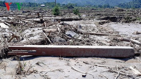 Những ngôi nhà sàn truyền thống của đồng bào vững chãi, khang trang một thời tại Bản Lùng giờ chỉ có thể nhận ra qua cái cột còn sót lại.