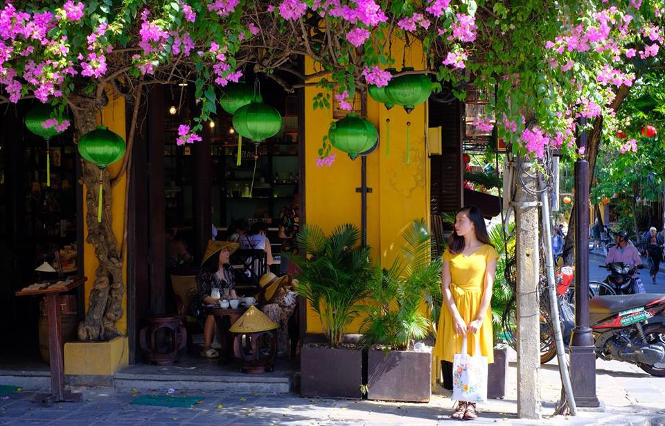 Ngõ nhỏ, phố nhỏ và giàn hoa cũng nhỏ xinh khiến ai cũng phải "xiêu lòng".