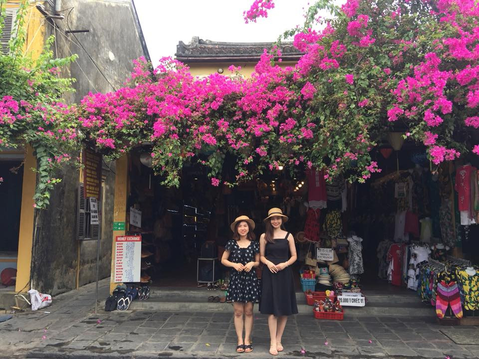 Tuy không tỏa hương thơm như các loài hoa khác, nhưng vẻ đẹp mộc mạc của loài hoa này đủ sức níu chân bất cứ người khách nào đi qua.