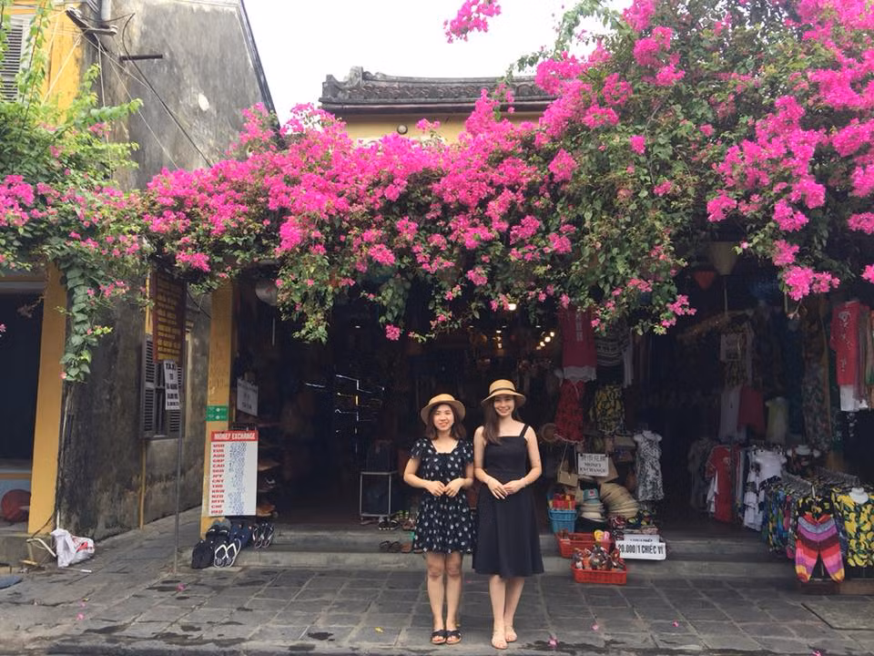 Tuy không tỏa hương thơm như các loài hoa khác, nhưng vẻ đẹp mộc mạc của loài hoa này đủ sức níu chân bất cứ người khách nào đi qua.